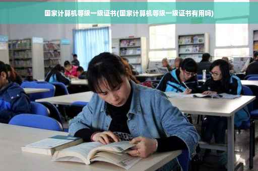 国家计算机等级一级证书(国家计算机等级一级证书有用吗)