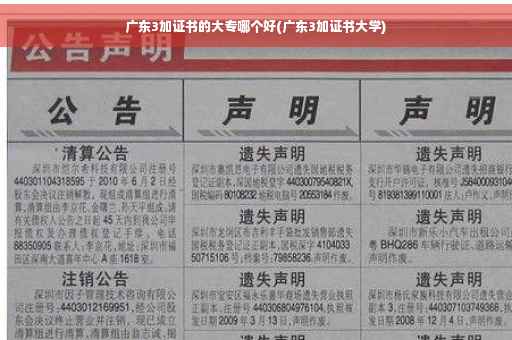 广东3加证书的大专哪个好(广东3加证书大学)