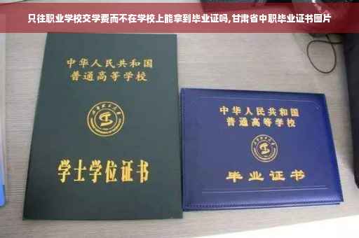 只往职业学校交学费而不在学校上能拿到毕业证吗,甘肃省中职毕业证书图片