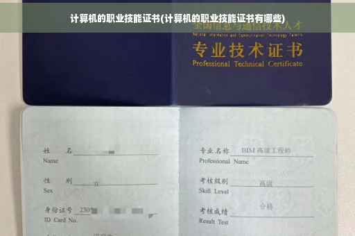 计算机的职业技能证书(计算机的职业技能证书有哪些)