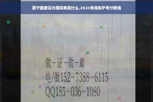 西宁健康证办理指南是什么,2023青海省护考分数线