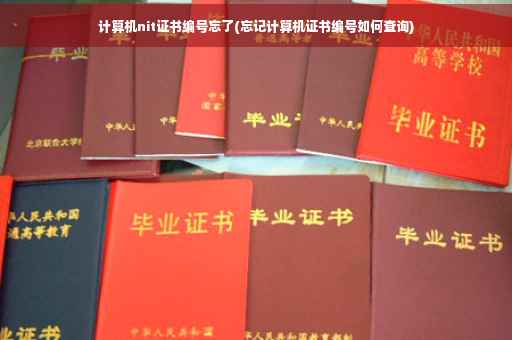 计算机nit证书编号忘了(忘记计算机证书编号如何查询)