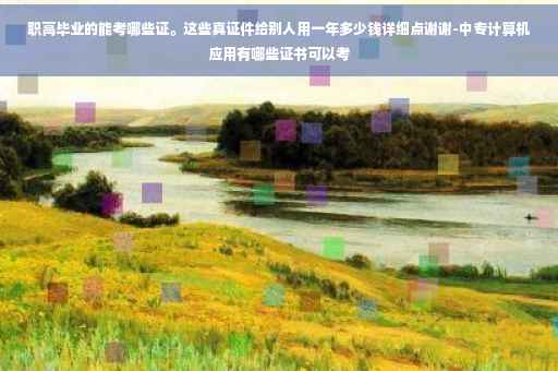 职高毕业的能考哪些证。这些真证件给别人用一年多少钱详细点谢谢-中专计算机应用有哪些证书可以考