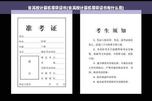 省高校计算机等级证书(省高校计算机等级证书有什么用)
