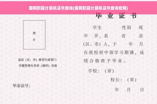 国网职称计算机证书查询(国网职称计算机证书查询官网)