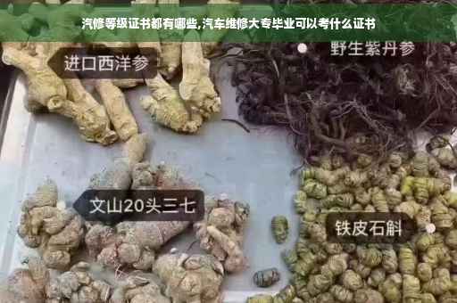 汽修等级证书都有哪些,汽车维修大专毕业可以考什么证书