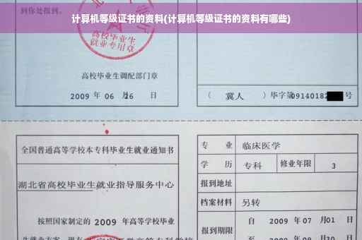 计算机等级证书的资料(计算机等级证书的资料有哪些)