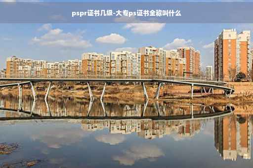 pspr证书几级-大专ps证书全称叫什么