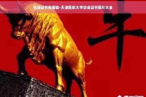 机场证书有哪些-天津民航大学毕业证书图片大全
