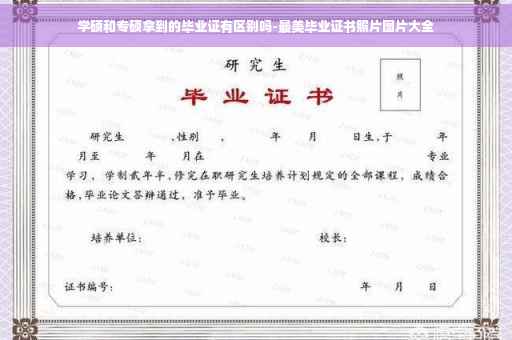 学硕和专硕拿到的毕业证有区别吗-最美毕业证书照片图片大全