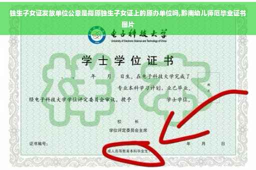独生子女证发放单位公章是指原独生子女证上的原办单位吗,黔南幼儿师范毕业证书图片