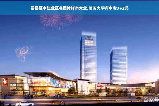 费县高中毕业证书图片样本大全,临沂大学有中专3+2吗