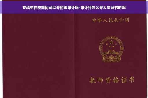 专科生在校期间可以考初级审计吗-审计师怎么考大专证书的呢