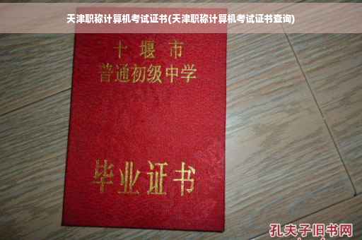 天津职称计算机考试证书(天津职称计算机考试证书查询)