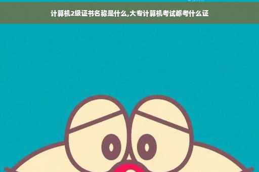 计算机2级证书名称是什么,大专计算机考试都考什么证