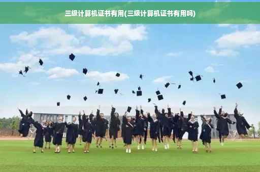 三级计算机证书有用(三级计算机证书有用吗)