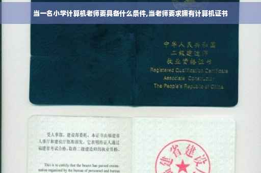 当一名小学计算机老师要具备什么条件,当老师要求拥有计算机证书