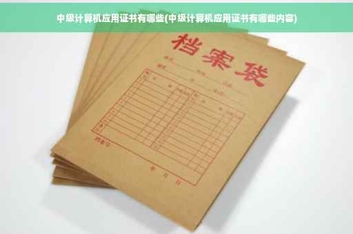 中级计算机应用证书有哪些(中级计算机应用证书有哪些内容)