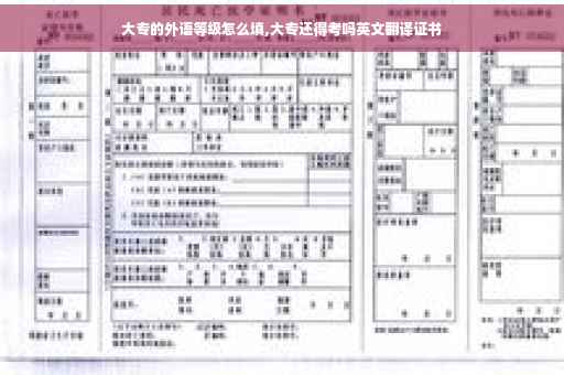 大专的外语等级怎么填,大专还得考吗英文翻译证书