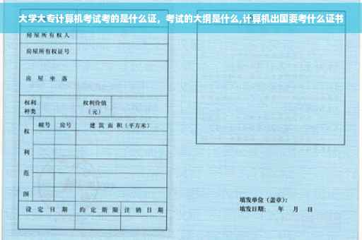 大学大专计算机考试考的是什么证，考试的大纲是什么,计算机出国要考什么证书