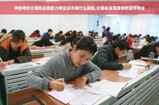 学校考的计算机应用能力考试证书是什么级别,计算机应用技术的证书考试