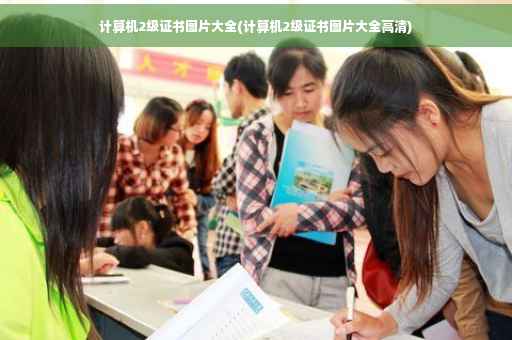 计算机2级证书图片大全(计算机2级证书图片大全高清)