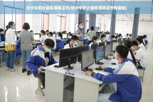 长沙中职计算机等级证书(长沙中职计算机等级证书有哪些)