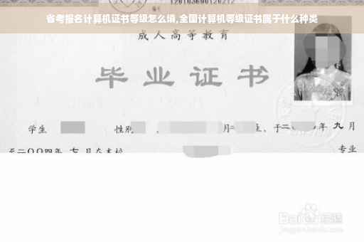 省考报名计算机证书等级怎么填,全国计算机等级证书属于什么种类