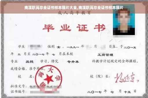 南溪职高毕业证书样本图片大全,南溪职高毕业证书样本图片