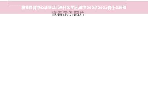 职业教育中心毕业以后是什么学历,教资202和202a有什么区别