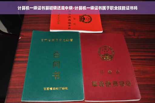 计算机一级证书算初级还是中级-计算机一级证书属于职业技能证书吗