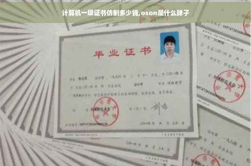 计算机一级证书仿制多少钱,oson是什么牌子