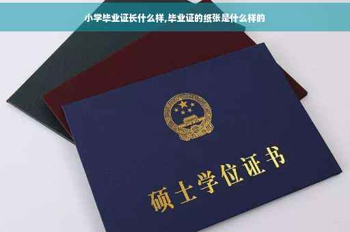 小学毕业证长什么样,毕业证的纸张是什么样的