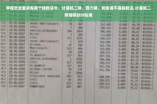 学校毕业要求有两个技能证书，计算机二级，四六级，到底算不算技能证,计算机二级等级划分标准