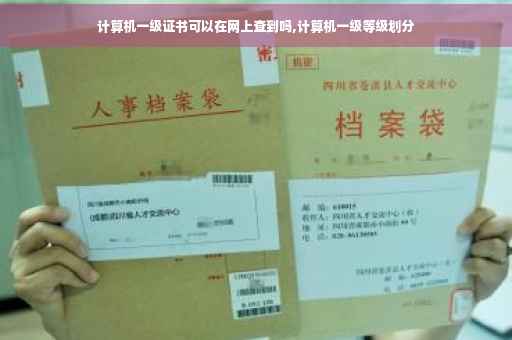 计算机一级证书可以在网上查到吗,计算机一级等级划分