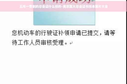 五年一贯制的毕业证什么样的-南京医大毕业证书样本图片大全