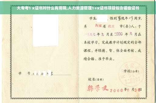 大专考1 x证书对什么有用啊,人力资源管理1+x证书项目包含哪些证书