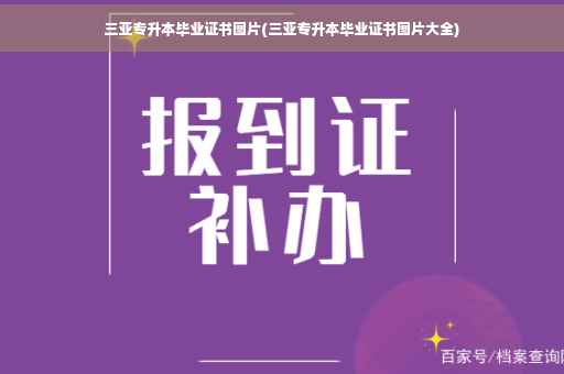 三亚专升本毕业证书图片(三亚专升本毕业证书图片大全)