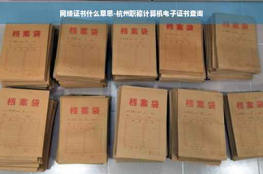 网络证书什么意思-杭州职称计算机电子证书查询
