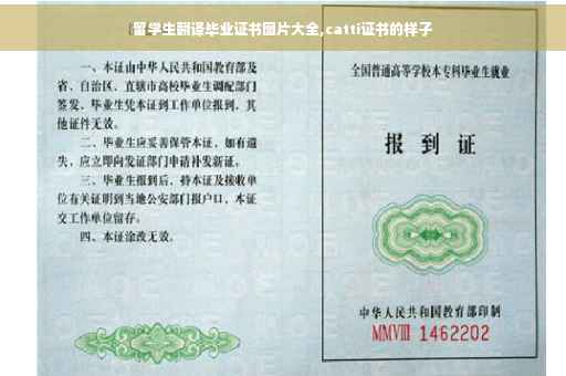 留学生翻译毕业证书图片大全,catti证书的样子