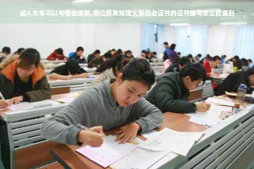 成人大专可以考哪些编制,哪位朋友知道大专毕业证书的证书编号怎么能查到
