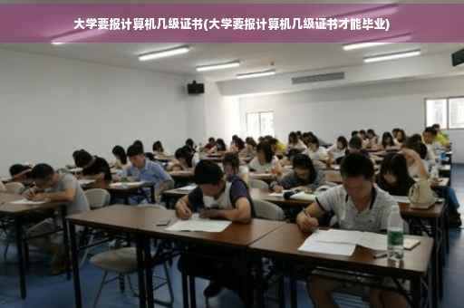大学要报计算机几级证书(大学要报计算机几级证书才能毕业)