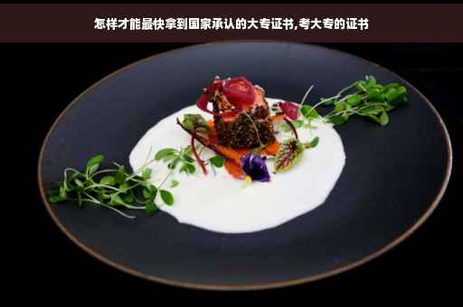 怎样才能最快拿到国家承认的大专证书,考大专的证书