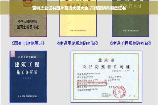 营销毕业证书图片高清大图大全,市场营销有哪些证书