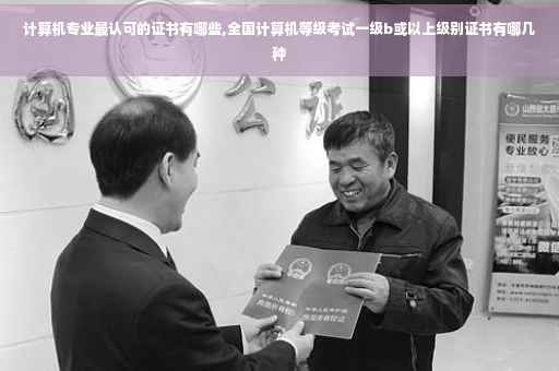 计算机专业最认可的证书有哪些,全国计算机等级考试一级b或以上级别证书有哪几种