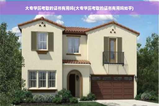 大专学历考取的证书有用吗(大专学历考取的证书有用吗知乎)