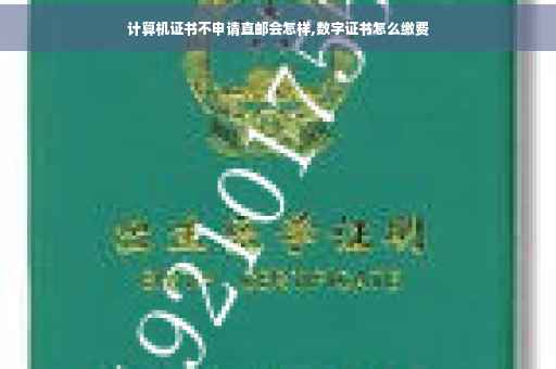 计算机证书不申请直邮会怎样,数字证书怎么缴费