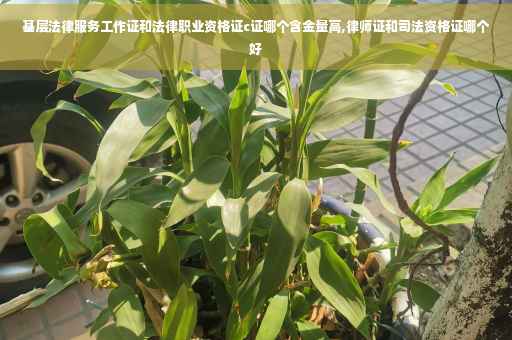 基层法律服务工作证和法律职业资格证c证哪个含金量高,律师证和司法资格证哪个好