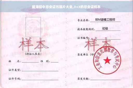 威海初中毕业证书图片大全,3+3的毕业证样本