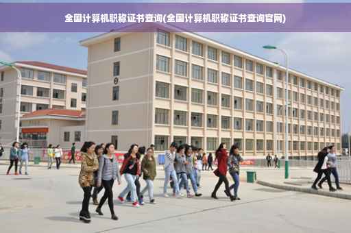 全国计算机职称证书查询(全国计算机职称证书查询官网)